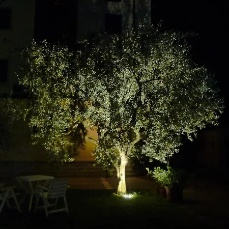 Dall'agnola 3* Garda (Verona)